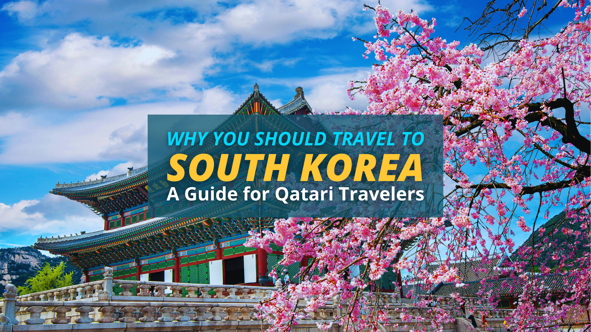Why You Should Travel to South Korea: A Guide for Qatari Travelers